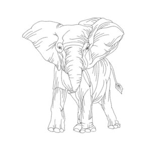 363 - Éléphant