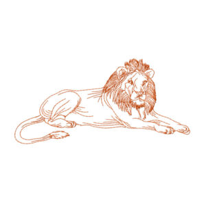 366 - Lion
