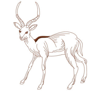 368 - Impala