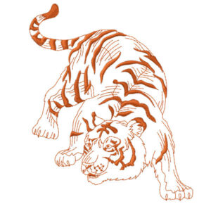 371 - Tigre