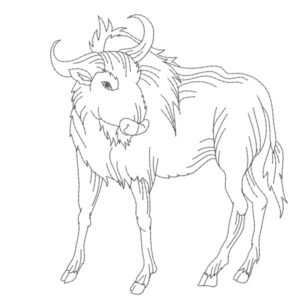 372 - Buffle