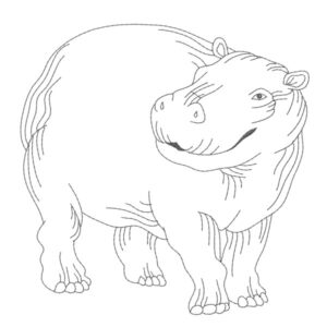 375 - Hippopotame - face