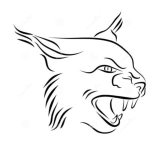 417 - Lynx