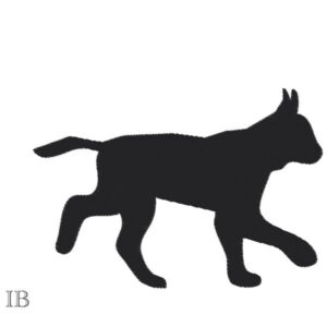 473 - Lynx