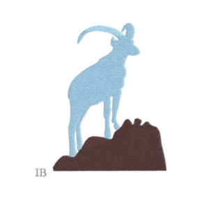 531 - Chamois