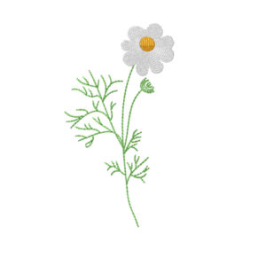 569 - Fleurs - 4