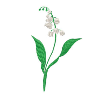 570 - Muguet
