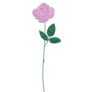 571 - Rose