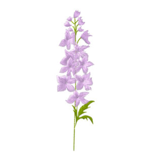 572 - Fleur 7