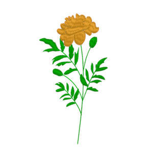 575 - Fleur 10