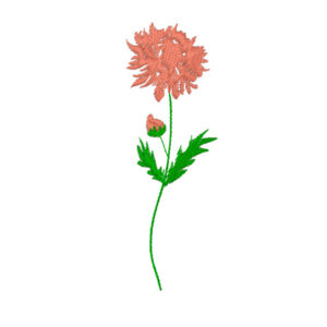 576 - Fleur 11