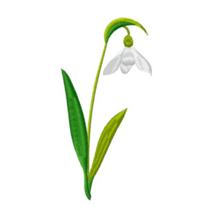 578 - Fleur 13