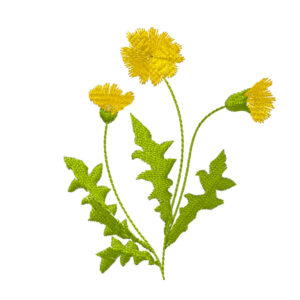 582 - Fleur 17
