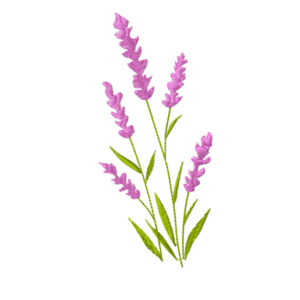 583 - Fleur 18