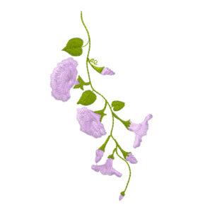 586 - Fleur 21