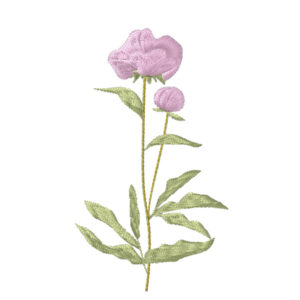 588 - Fleur 23
