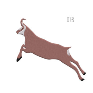 599 - Chamois