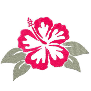 063 - Hibiscus