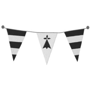 687 - Fanion Bretagne