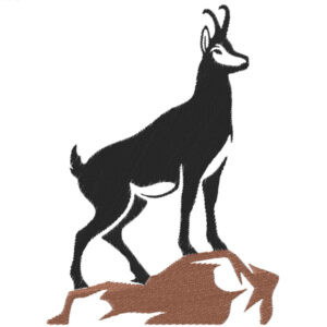 698 - Chamois