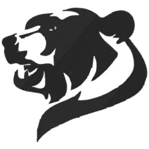 730 - Tête d'ours grizzli