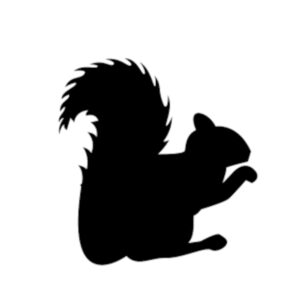 S100