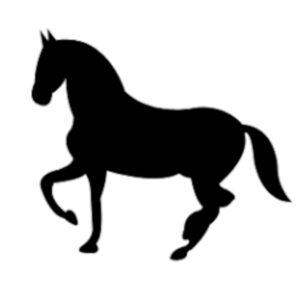 S111