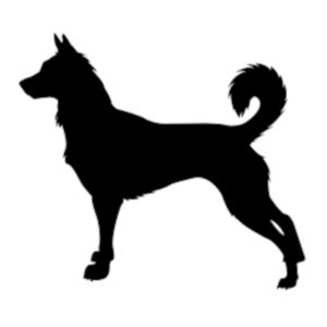 S112