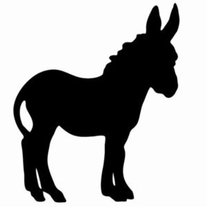 S118