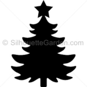 S037-sapin-2