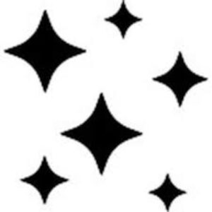 S076