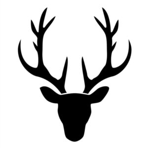 S099